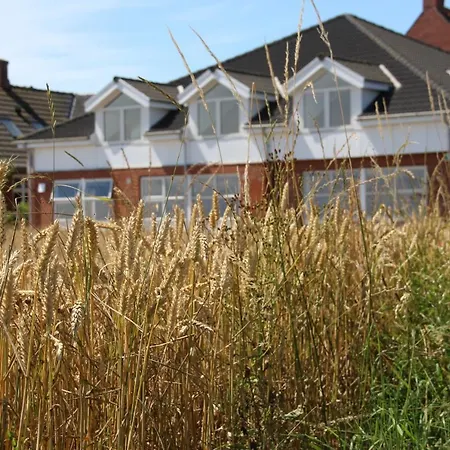 Samsted מידלפרט