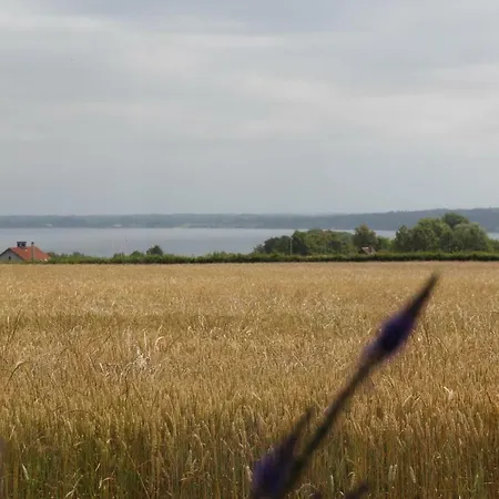 מלון Samsted מידלפרט